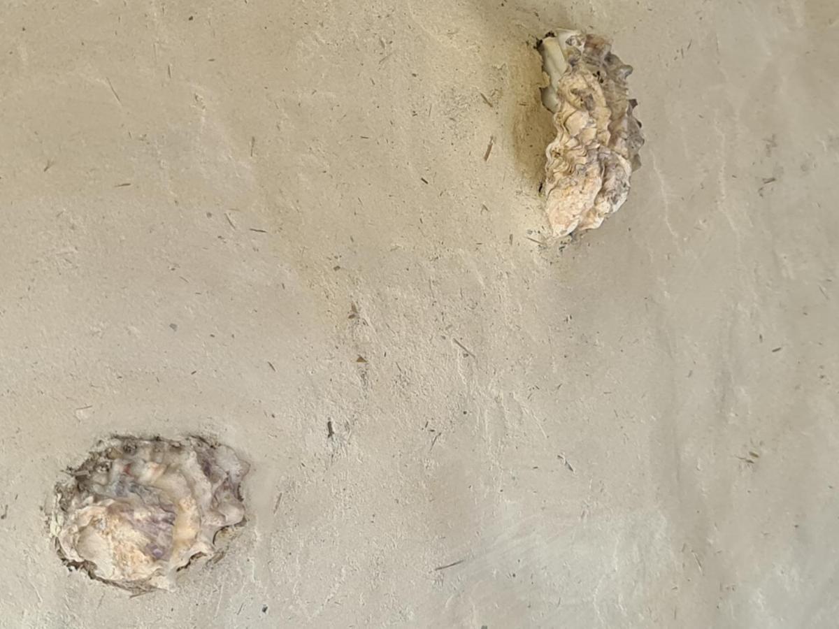 Vila Sanzila Bernatoniai Εξωτερικό φωτογραφία